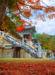 Bulguksa Temple